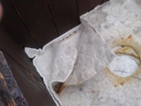 /album/fotogaleria-ule/a2013-11-11-15-26-07-jpg/